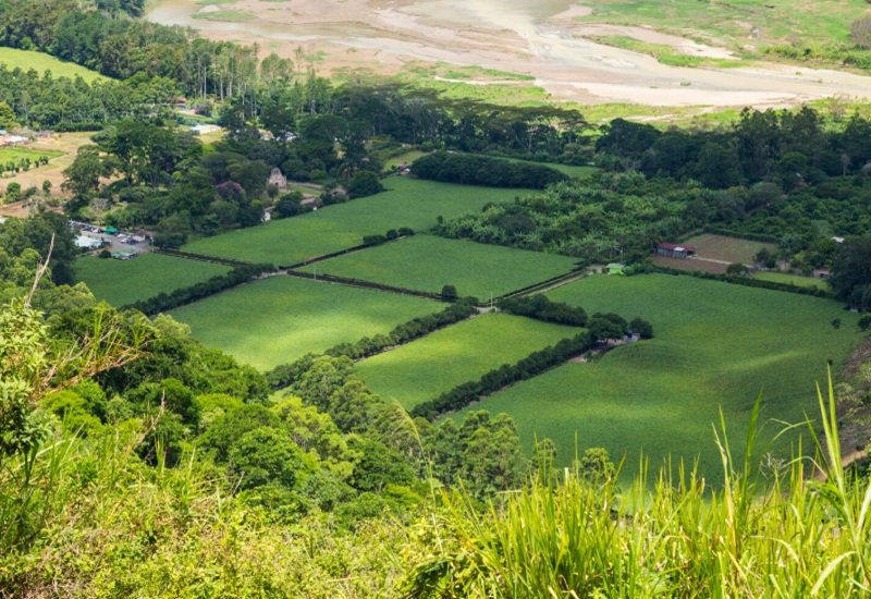 Avaliação de Imóveis Rurais