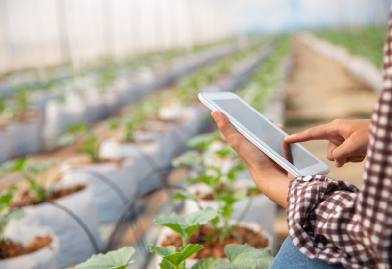 Avaliação de Ativos Biológicos